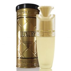 Perfume New Brand Luxury for Women Eau De Parfum Feminino 100ml