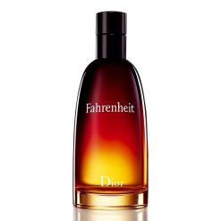 Perfume Fahrenheit Dior Eau De Toilette Masculino