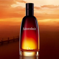 Perfume Fahrenheit Dior Eau De Toilette Masculino
