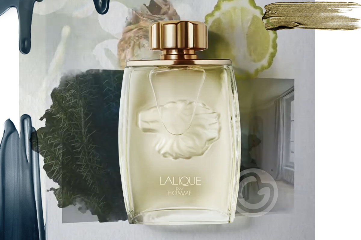 Lalique Pour Homme Lion Eau de Parfum Masculino
