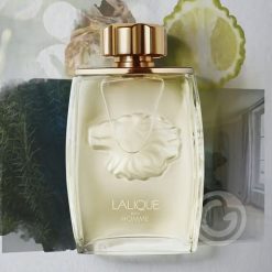 Lalique Pour Homme Lion Eau de Parfum Masculino