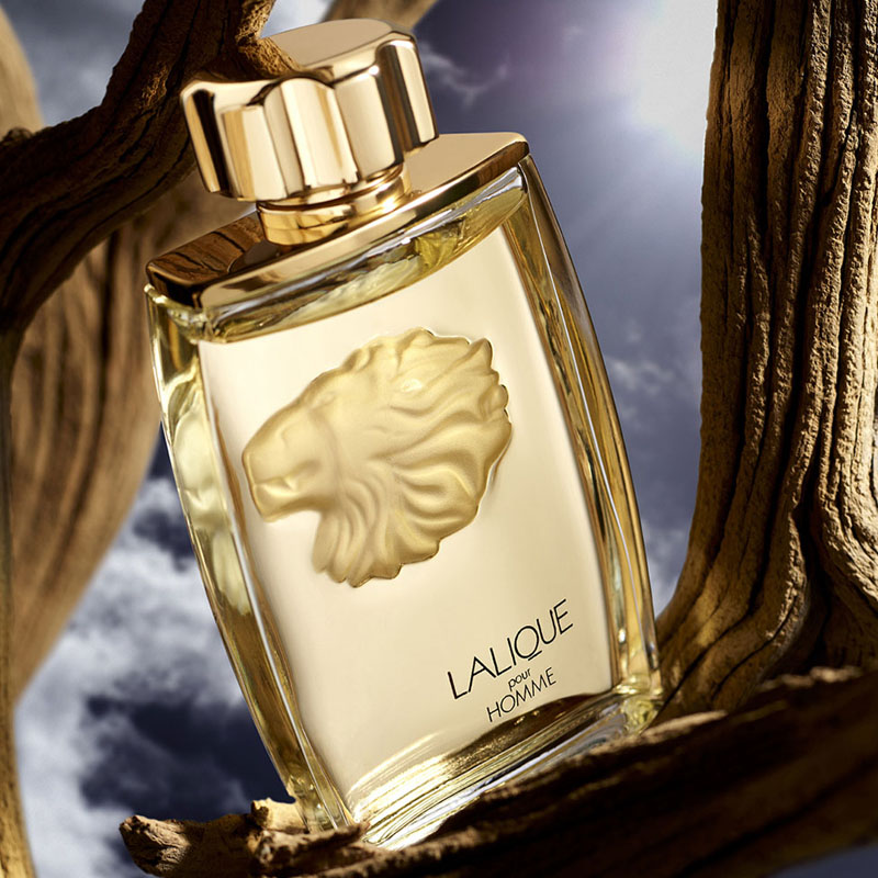 Lalique Pour Homme Lion Eau de Parfum Masculino